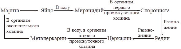 Перечислить признаки, которые характерны для заболеваний с природной очаговостью. Назвать компоненты природного очага - student2.ru