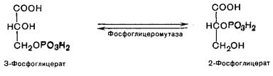 Переваривание и всасывание углеводов - student2.ru