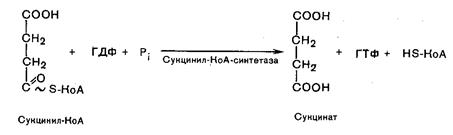 Переваривание и всасывание углеводов - student2.ru