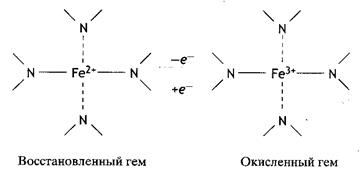 Переваривание и всасывание углеводов - student2.ru