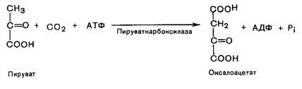 Переваривание и всасывание углеводов - student2.ru
