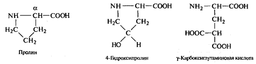 первичная структура белков - student2.ru