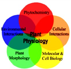Physiology of plants and animals - student2.ru