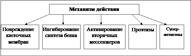 По степени связи с бактериальной клеткой и секретировании в окружающую среду подразделяются на 3 класса. - student2.ru