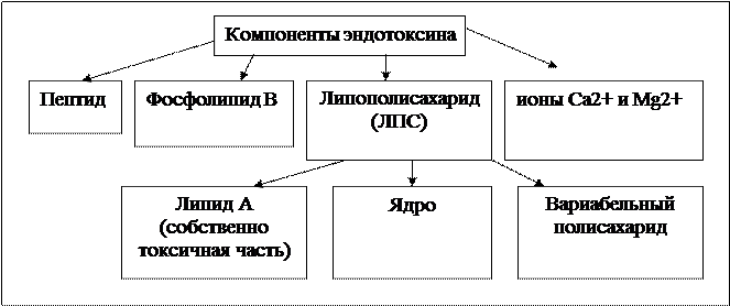 По степени связи с бактериальной клеткой и секретировании в окружающую среду подразделяются на 3 класса. - student2.ru