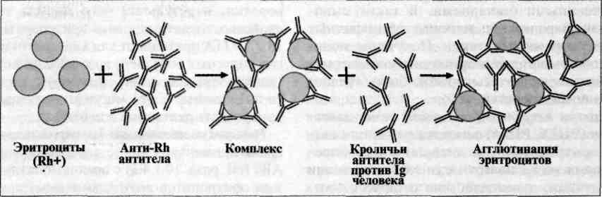 Побочное воздействие на микроорганизмы. 5 страница - student2.ru