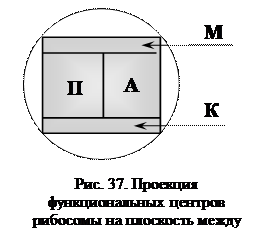 Подготовительные стадии - student2.ru