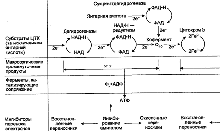 Подготовка энергии к использованию - student2.ru