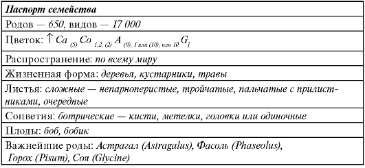 Подсемейство сливовые (Рrunoidеае) - student2.ru