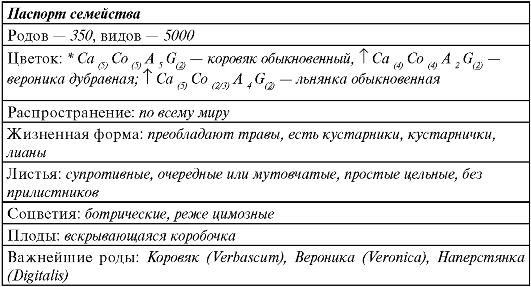 Подсемейство сливовые (Рrunoidеае) - student2.ru