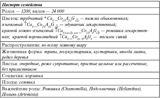 Подсемейство сливовые (Рrunoidеае) - student2.ru