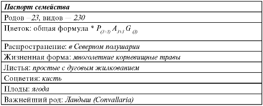 Подсемейство сливовые (Рrunoidеае) - student2.ru