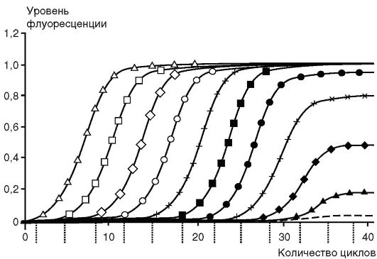 полимеразная цепная реакция - student2.ru