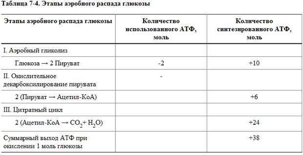 Полное окисление глюкозы. Энергетический баланс - student2.ru