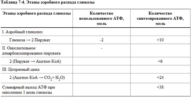 Полное окисление глюкозы. Энергетический баланс полного окисления глюкозы - student2.ru