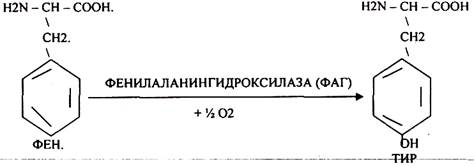 Положительный азотистый баланс связан с преобладанием процессов синтеза над процессами - student2.ru