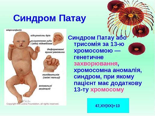 Популяційно-статистичний метод - student2.ru