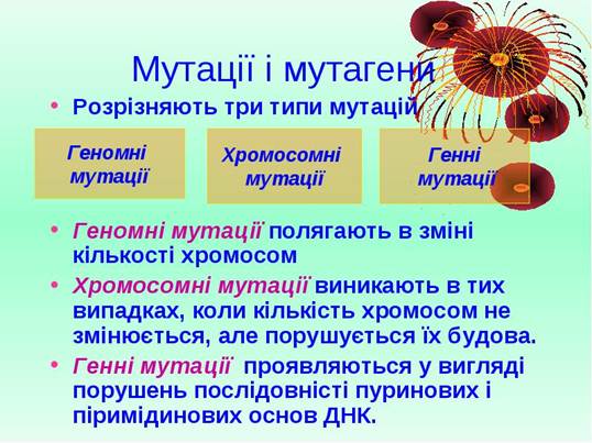 Популяційно-статистичний метод - student2.ru