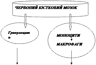 Порушення ретракції згустку виникає в разі зниження активності ретрактозиму, що міститься у тромбоцитах - student2.ru