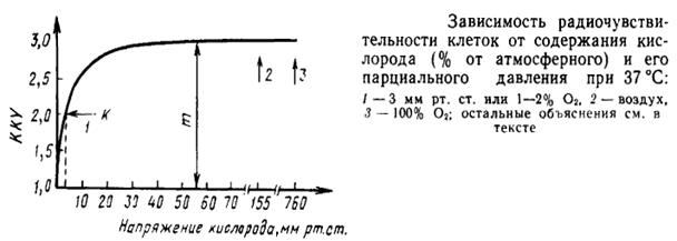 повышение «биологического фона радиорезистентности» - student2.ru