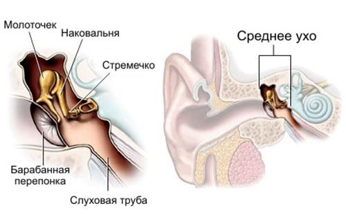 Предлобная ассоциативная зона - student2.ru