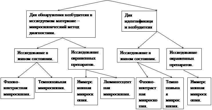 Предмет и задачи медицинской микробиологии, вирусологии и иммунологии. - student2.ru