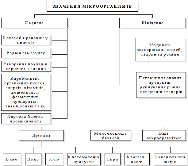 ПРЕДМЕТ І ЗАВДАННЯ МІКРОБІОЛОГІЇ ТА ЗВ’ЯЗОК ЇЇ З ТОВАРОЗНАВСТВОМ - student2.ru