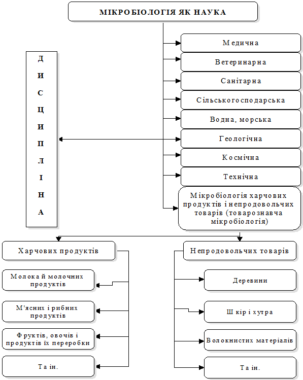 ПРЕДМЕТ І ЗАВДАННЯ МІКРОБІОЛОГІЇ ТА ЗВ’ЯЗОК ЇЇ З ТОВАРОЗНАВСТВОМ - student2.ru