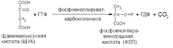 Превращение оксалоацетата в ацетил-КоА - student2.ru