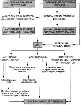 причины и механизмы развития - student2.ru