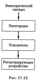 Принцип работы медицинских приборов, регистрирующих биопотенциалы - student2.ru