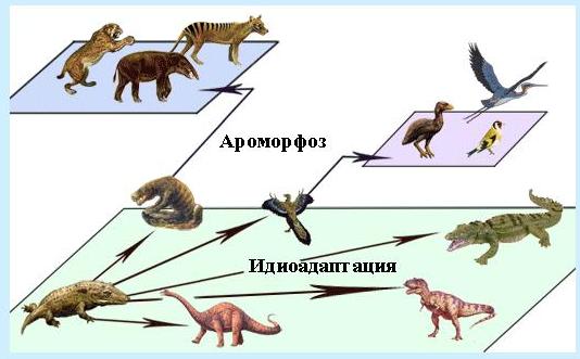 Природные катаклизмы древности - student2.ru