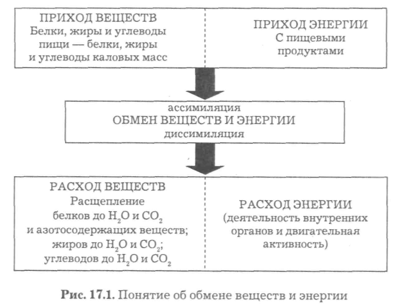 Проблема связи с внеземными цивилизациями - student2.ru