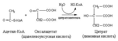 Производные моносахаридов - student2.ru