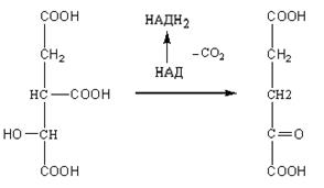 Производные моносахаридов - student2.ru