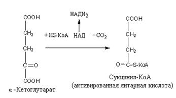 Производные моносахаридов - student2.ru