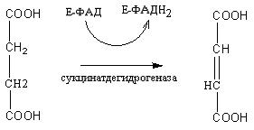 Производные моносахаридов - student2.ru