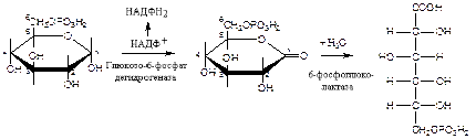 Производные моносахаридов - student2.ru