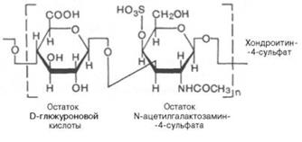 Противосвертывающая система - student2.ru