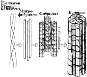 Противосвертывающая система - student2.ru