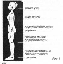 прямой позвоночник во фронтальной плоскости - student2.ru