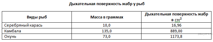 раз­ви­тие бы­чье­го цепня - student2.ru