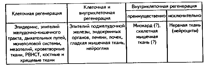 различные типы регенерации тканей. метаплазия - student2.ru