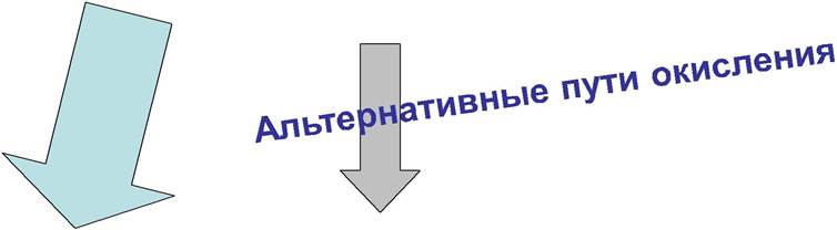 Разобщение окислительного фосфорилирования (свободное окисление) - окисление идёт, а ФОСФОРИЛИРОВАНИЯ нет, вся энергия выделяется в виде тепла - student2.ru