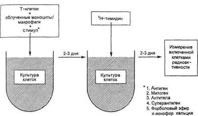 Реакция непрямой гемагглютинации - student2.ru