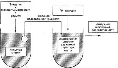 Реакция непрямой гемагглютинации - student2.ru