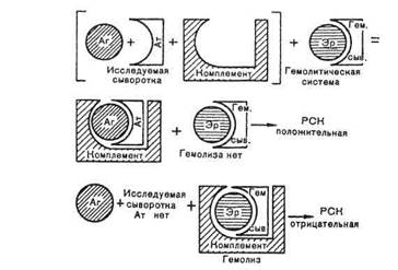 Реакция непрямой гемагглютинации - student2.ru