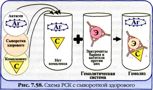 Реакция связывания комплемента. Механизм. Компоненты. Применение. - student2.ru