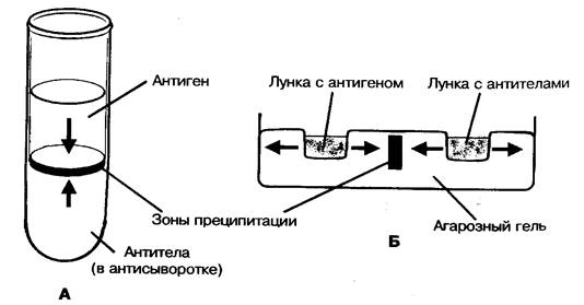 Реакция торможения гемагглютинации - student2.ru