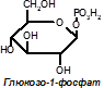 Регуляция общих путей катаболизма. Анаболические функции цикла Кребса - student2.ru